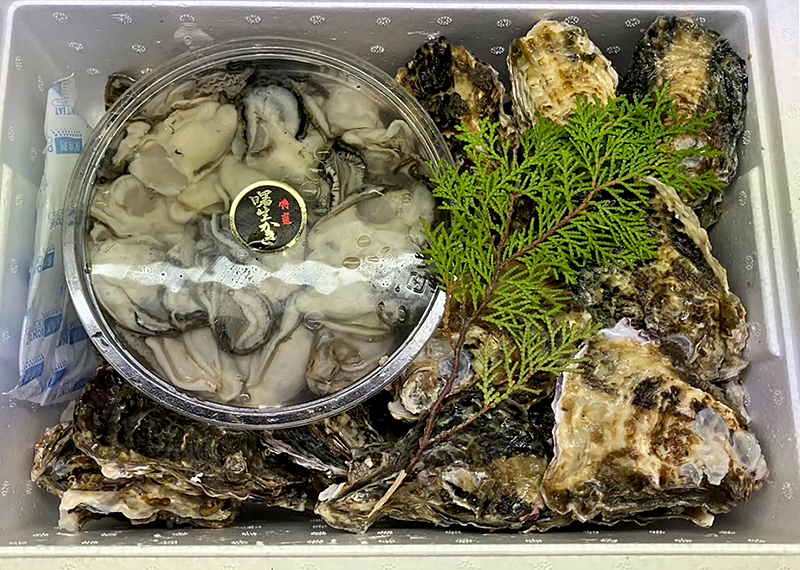 ファミリーセット