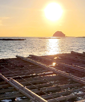 共栄水産について