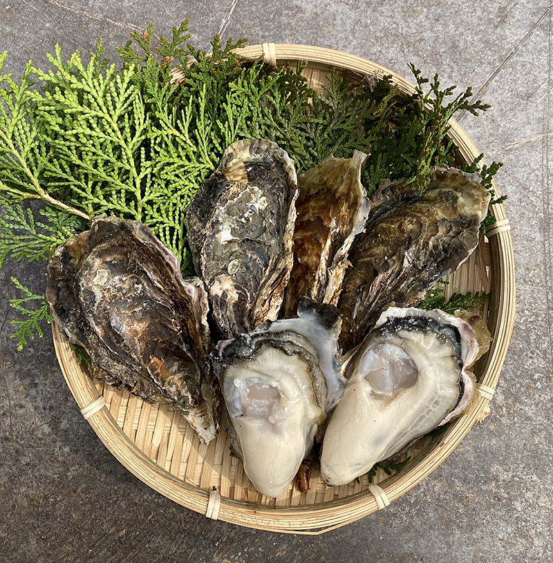 選ばれる理由