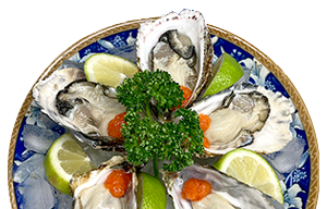 ビジョン・ミッション