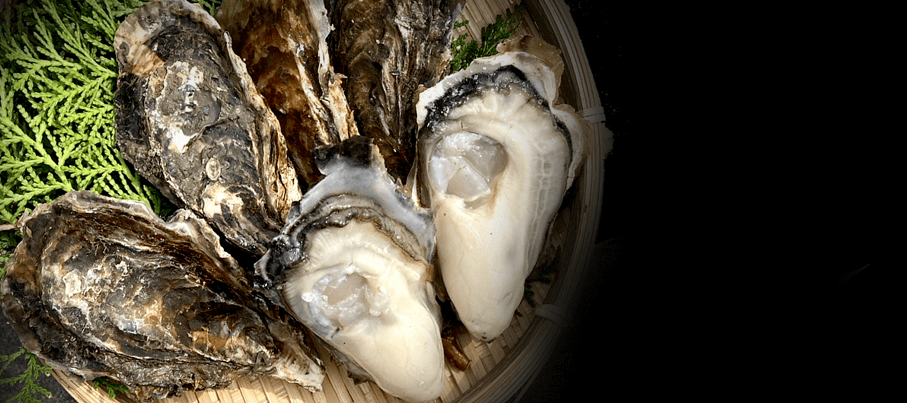 共栄水産株式会社